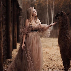 Cappuccino-zwangerschap off-shoulder fotojurk, babyshowerjurk voor foto's, maxi-jurk met trein, plus-size jurk, empire-taillejurk