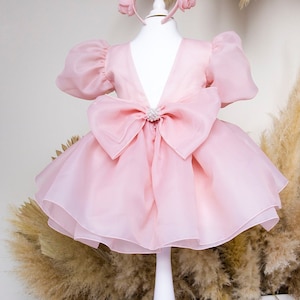 Jurk blozen eerste verjaardag, babyjurk poppen, tutu bloemenmeisjesjurk, korte pofmouw, organza peuterjurk, doopjurk, galajurk