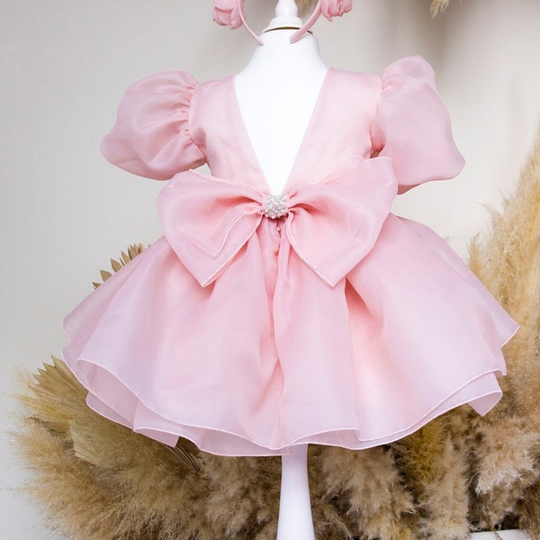 Blush First Birthday Dress, Doll Baby Gown, Tutu Flower Girl Dress, Short Puffy Sleeve, Organza Toddler Dress, Baptism Dress, Prom Dress