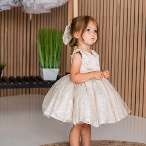Champagne Girl Dress, Glitter Birthday Baby Dress, Pearls Flower Girl Dress, Pageant Graduation Gown, Knee Toddler Dress, Lace Infant Dress