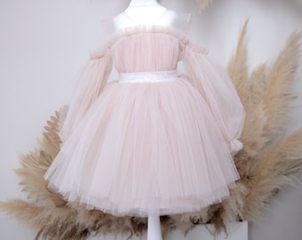 Robe rose poudré et robe de bal de promo, Robe de fête d'anniversaire, Robe pour occasion spéciale, Séance photo, Manches longues, Robe en tulle pour tout-petit