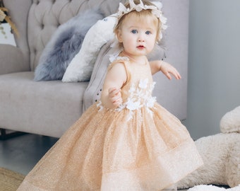 Butterfly First Birthday Dress, Glitter Toddler Dress, Peach Flower Girl Dress, Long Sleeve, Prom Gown, Special Occasion Baby Girl Dress