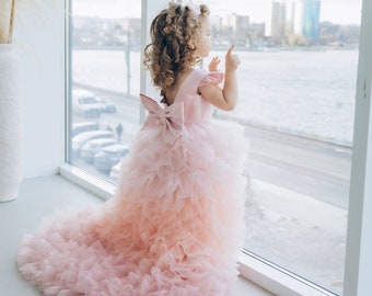 Blush pink birthday baby girl gown, first year birthday party dress, gown with train  for baby, gorgeous fluffy dress for kids, tulle dress