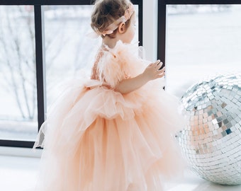Peach Birthday Party Girl Dress, Maxi Puffy Flower Girl Dress, Beads Embroidery Dress, Tutu Prom Gown, Special Occasion Toddler Dress