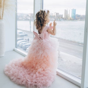 Blush pink birthday baby girl gown, first year birthday party dress, gown with train  for baby, gorgeous fluffy dress for kids, tulle dress