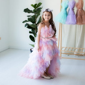 Flower Girl Dress, Puffy Multicolored Train Gown, Birthday Girl Dress, Wedding Guest Baby, Mini Bridesmaid, Prom, Party Pageant, High Low