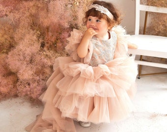 Ready To Ship, Floral Birthday Girl Dress, Champagne Tulle Dress, Flower Girl Dress With Train, Fast Delivery, First Birthday Dress