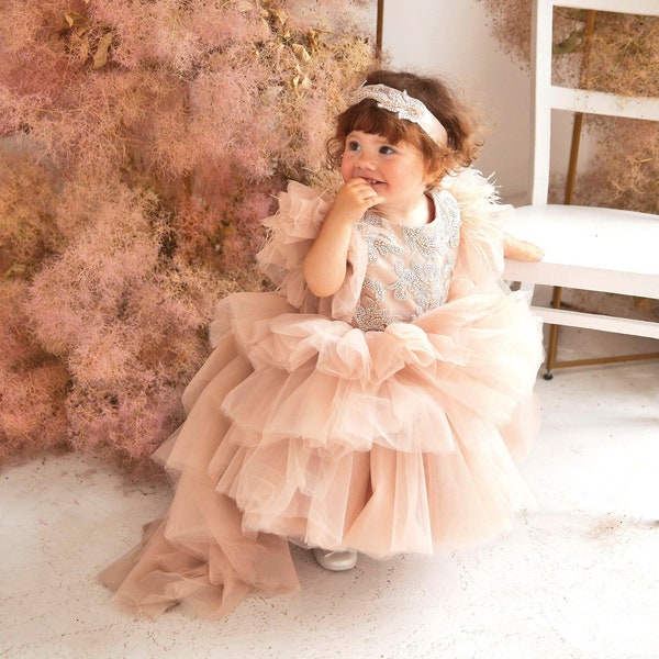 Ready To Ship, Floral Birthday Girl Dress, Champagne Tulle Dress, Flower Girl Dress With Train, Fast Delivery, First Birthday Dress