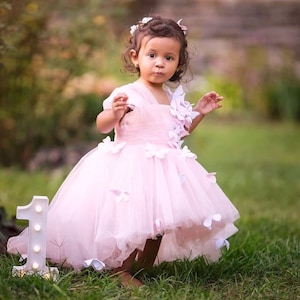 READY TO SHIP Butterfly Baby Dress, Pink Birthday Girl Dress, First Birthday Dress, Tulle Toddler Dress With Butterfly, Prom Baby Dress