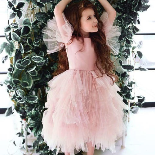 Blush Pink Dress Girls Dress Blush Tutu Dress Toddler Tulle Etsy