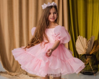 Pink Birthday Party Girl Dress, Flower Girl Dress, Tutu Ruffled Baby Dress, Puffy Sleeve, Knee Organza Toddler Dress, Prom Gown, Dance Dress