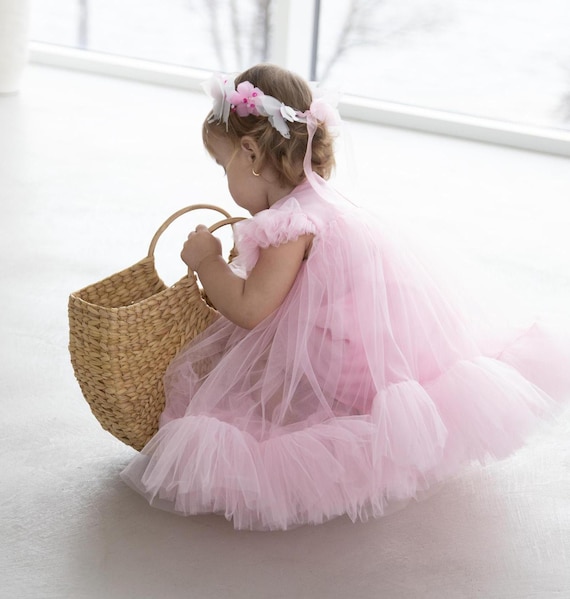 Pastel Pink First Birthday Dress, Flower Girl Wedding Guest Baptism Baby, Formal Infant Toddler Puffy Tutu Tulle Dress, Cake Smash Gown