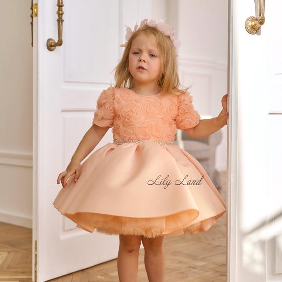 peach dress for graduation Baby Dress, Roses Princess Dance Attire, Satin Tutu Dance Party Look, Birthday Photoshoot, Prom Gown, Pageant, Flower Girl elegant peach dress