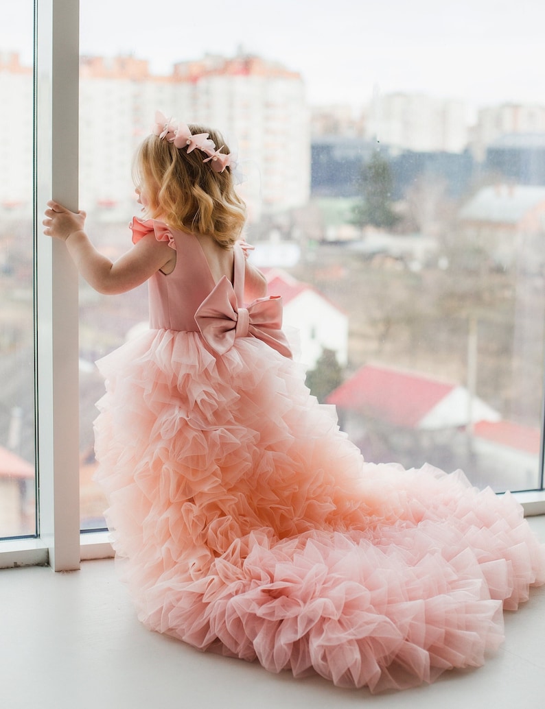 May include: A young girl wearing a pink tulle dress with a large pink bow on the back. The dress has multiple layers of tulle and is very full. The girl is standing in front of a window with a city view in the background.