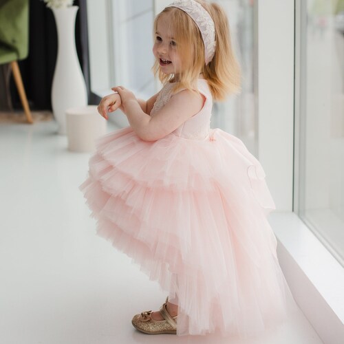 blush birthday dress Pink Flower Girl, Blush Birthday Dress, Tutu Ruffled Toddler Dress, Cake Smash Baby Princess, Special Occasion Dress, Floral Lace, High Low