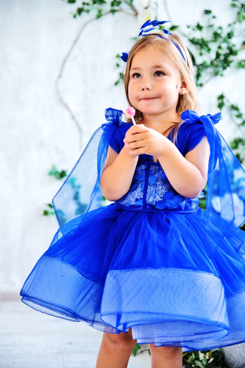 Birthday Girl Dress Royal Blue Tulle Dress Flower Girl Etsy