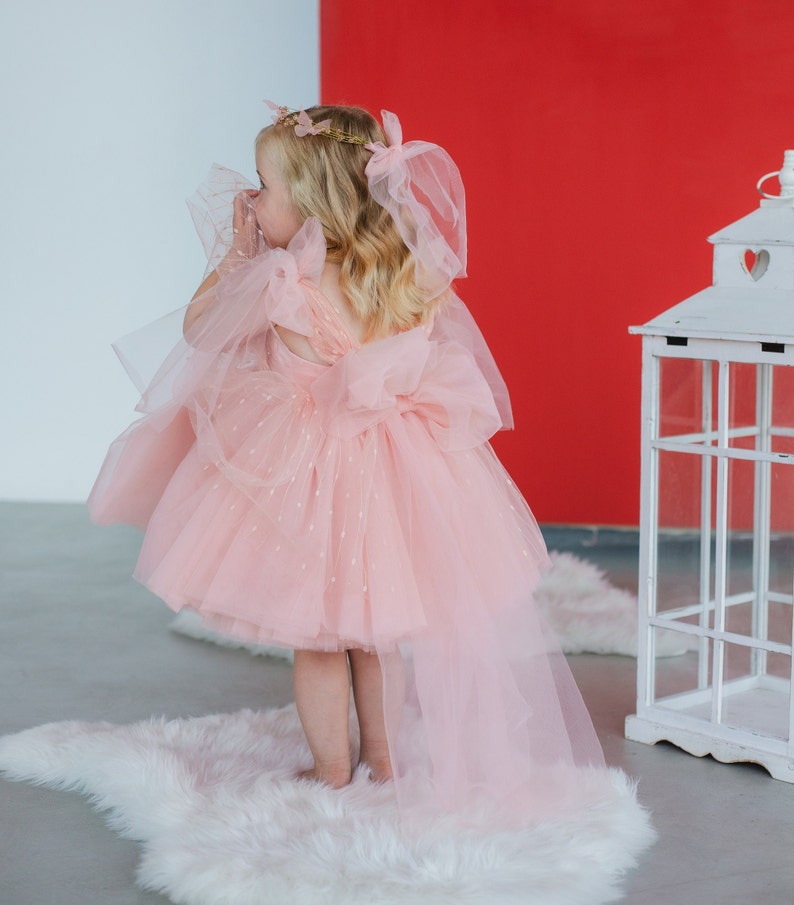 Pink Tulle Birthday Baby Dress, Graduation Party Prom Gown, Flower Girl