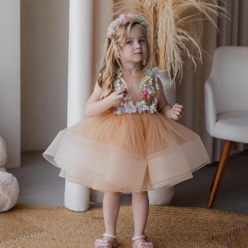 champagne birthday dress Floral Girl Dress, Flower Girl Dress, Pageant Toddler Dress, 1st Birthday Dress, Tutu Tulle Dress, Prom Gown With Flowers Size:2 Toddler Mob 10 Years (150cm) 76 Champagne Crystal Corset Mini