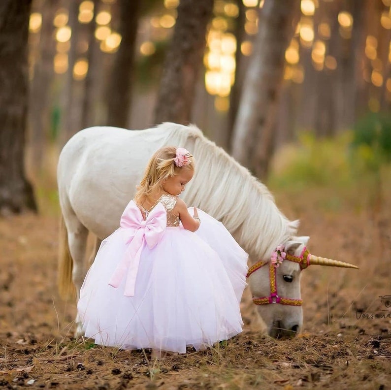 Birthday baby girl dress, puffy baby dress, christening baby dre Birthday baby girl dress, puffy baby dress, christening baby dre