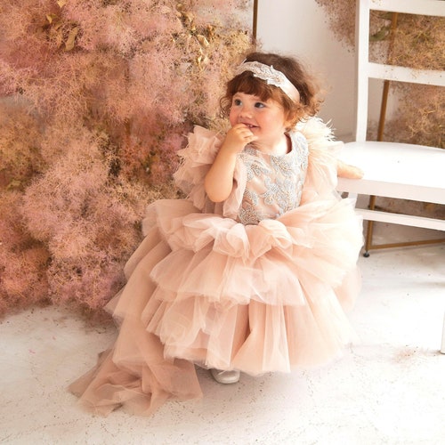 birthday dress for women fast delivery READY TO SHIP Baby Dress, Butterfly Birthday Girl Dress, First Birthday Dress, Peach Toddler Dress With Butterflies, Fast