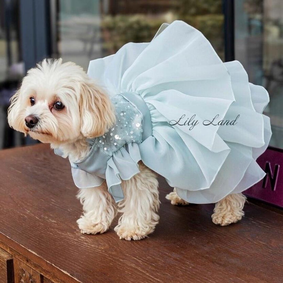 sage green dog dress Birthday Dress, Formal Pet Outfit, Wedding Look for Dog and Cat, Flower Girl Dress, Elegant Princess Gown, Pageant Photoshoot trending now