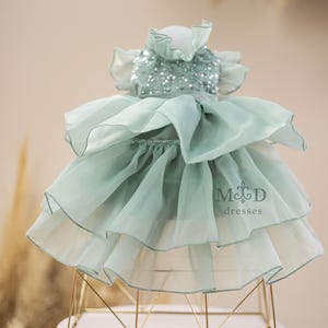 sage green dog dress Dog Dress, Dog Christmas Dress, Cat Dress, Dog Wedding Dress, Dog Dresses for Small Dogs Girl, Girl Puppy Princess Tutu Dress with Leash Ring, Fashion Pet Dog Clothes for Birthday Wedding(M-Green) -