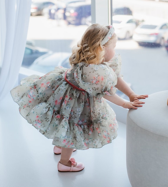 Birthday Baby Girl Dress, Vintage Dress, Puffy Organza Prom Gown, Tutu Toddler Dress, Summer Fancy Dress, Floral Dress, Formal Event Outfit