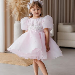 Puede incluir: Una ni&ntilde;a peque&ntilde;a con un vestido de tul rosa con adornos de perlas y una corona de flores blancas. El vestido tiene mangas abullonadas y una falda de capas.