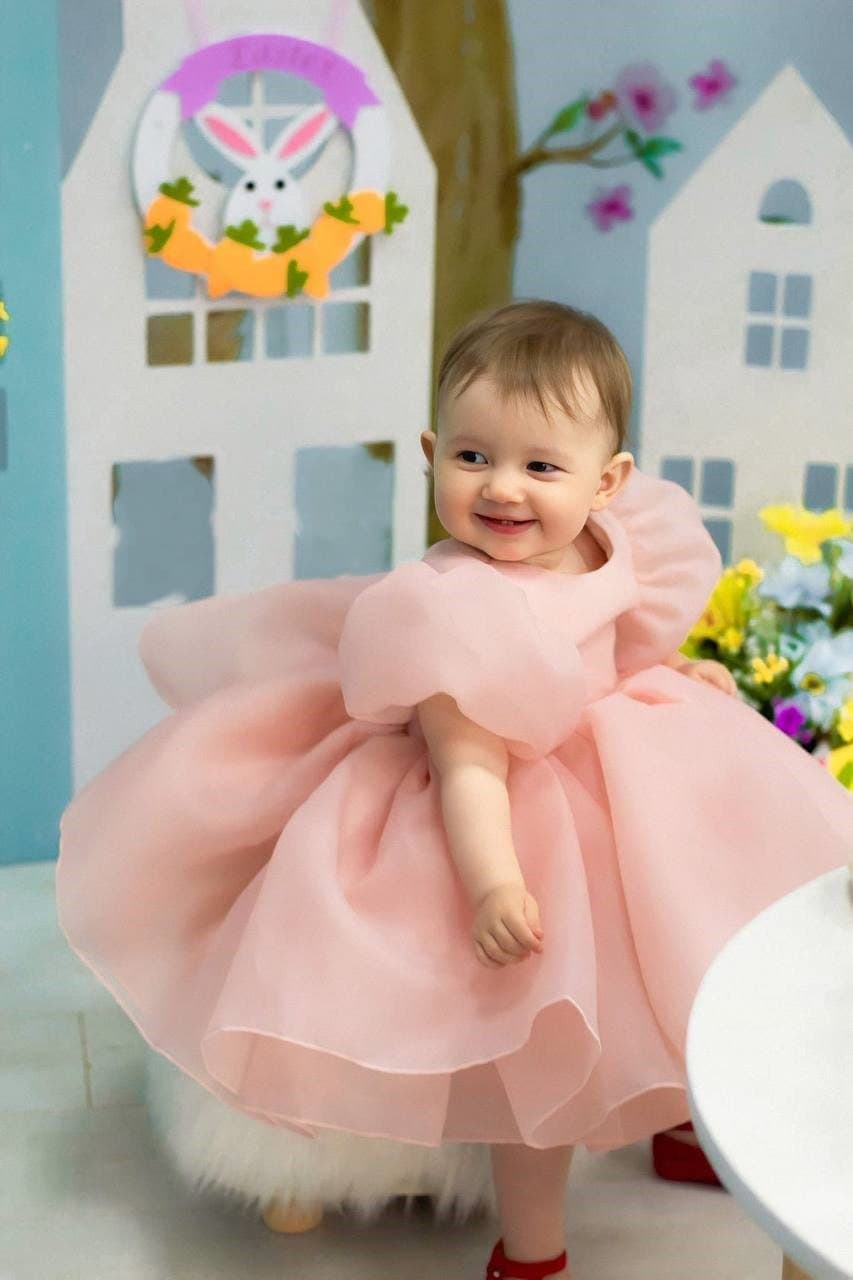 1 Year Baby Girl Birthday Dress With Price Puffy Dress For Girl, Birthday  Baby Girl Dress,