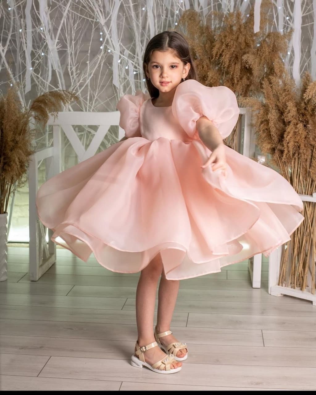 Puffy Dress for Girl, Birthday Baby Girl Dress, Organza Girl Puffy Dress for Girl, Birthday Baby Girl Dress, Organza Girl