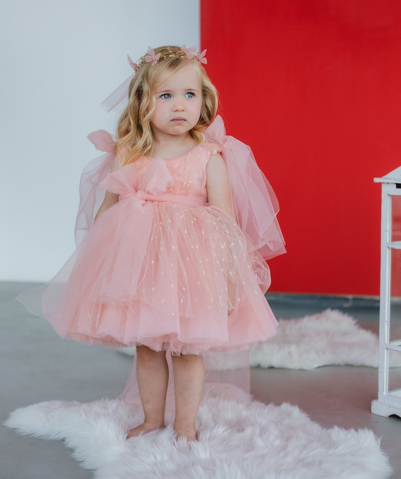 Pink Tulle Birthday Baby Dress, Graduation Party Prom Gown, Flower Girl