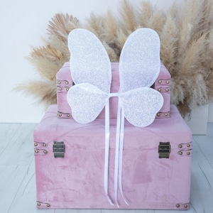 Weiße glänzende Flügel, Fee Prinzessin Flügel, Schmetterling Kostüm für Kind, Festival Outfit, Geburtstag Baby Party, Mottenflügel, Festzug Outfit