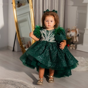 Green Christmas Photoshoot Gown, Baby Girl Tutu Sparkling Dress, Graduation, Birthday Toddler Hi Lo Dress, Special Occasion, Feathers Sleeve