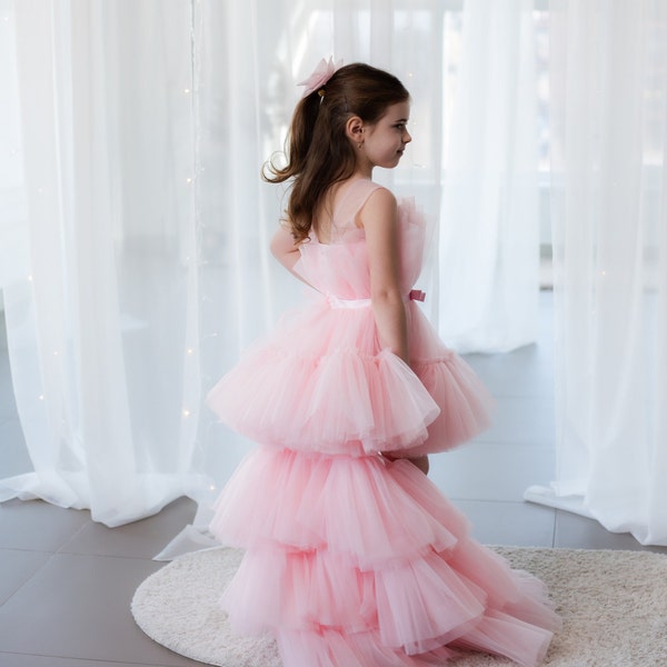 Prom Ball Long Detachable Train Pink Dress, Birthday Girl Dress, Flower Girl Dress, Multilayered, Puffy Tulle Baby Dress, Pageant Dress