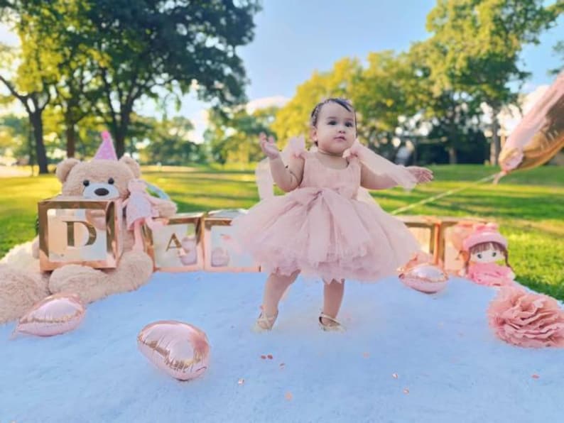 Pink Tulle Birthday Baby Dress, Graduation Party Prom Gown, Flower Girl