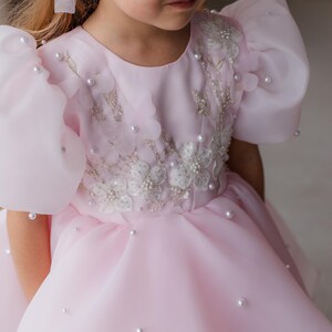 Puede incluir: Una ni&ntilde;a peque&ntilde;a con un vestido de tul rosa con adornos de perlas y bordados florales. El vestido tiene mangas abullonadas y una falda completa.