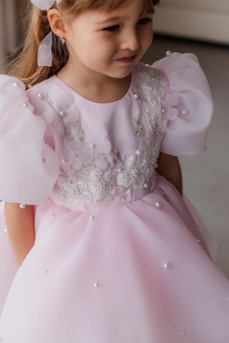 Puede incluir: Una ni&ntilde;a peque&ntilde;a con un vestido de tul rosa con adornos de perlas y bordados florales. El vestido tiene mangas abullonadas y una falda completa.