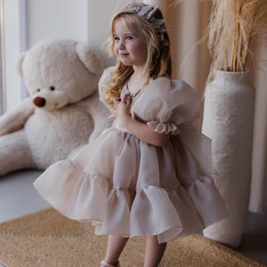 Beige Toddler Girl Dress, Puffy Organza Birthday Dress With Ruffles, Princess Party Dress For Girls, Elegant Baby Girl Outfit, Flower Girl