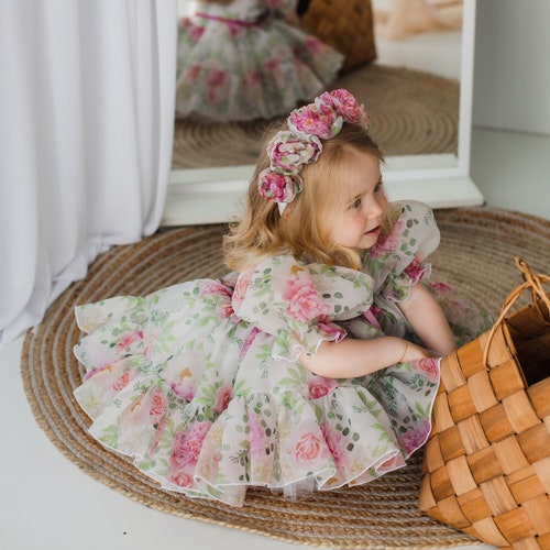 Floral Birthday Toddler Dress, Flower Girl Dress, Puffy Sleeves, Infant Dress, Prom Gown, Cake Smash Photoshoot, Special Occasion Baby Dress