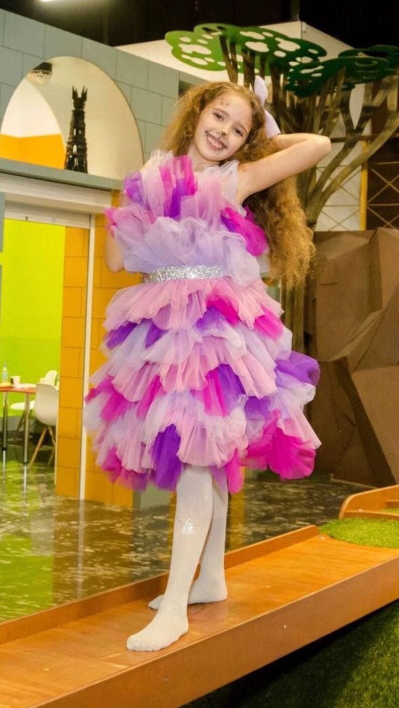 Birthday Party Girl Dress Ruffle Tulle Flower Girl Dress Etsy