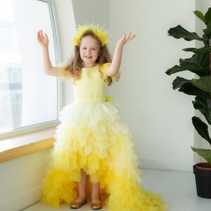 Luxury Ball Flower Girl Dresses Gown Wedding Party Dress Flowers Floor Length Princess Birthday Dress
