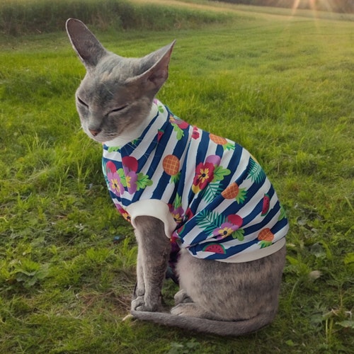 UV50 clothing for your pet, clothing for small dogs, Sphynx clothing, cat clothing, digital printing