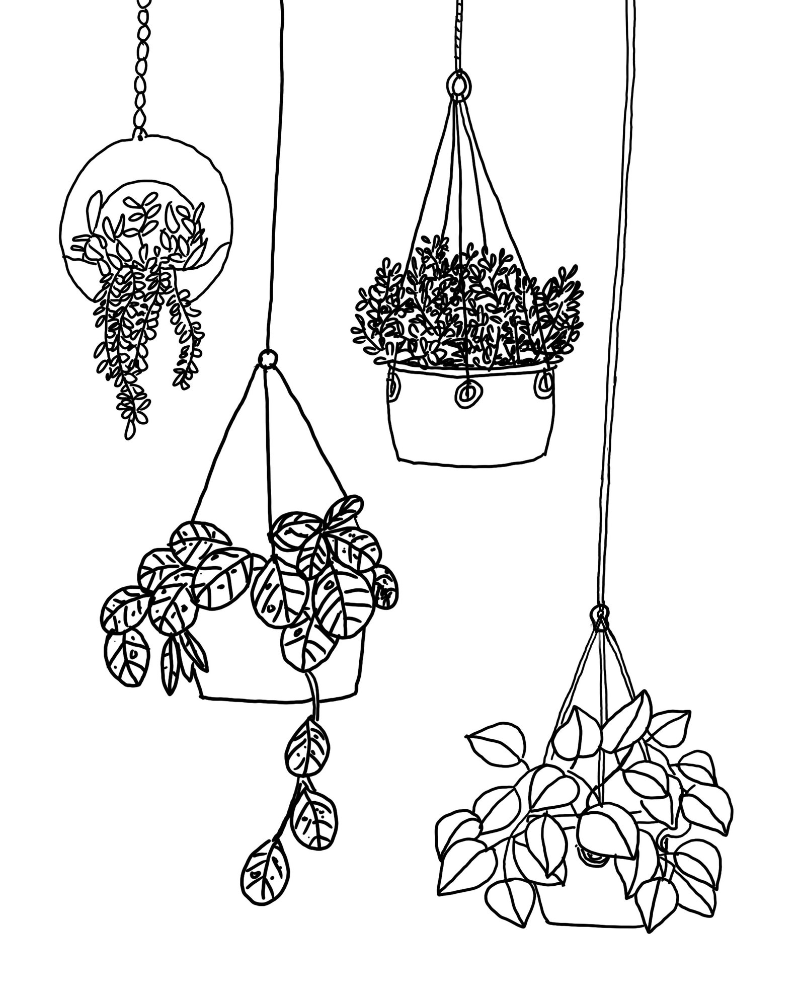 Hand Drawn Plants Hanging Baskets Minimal Prints Etsy
