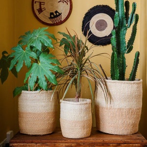 Kenyan Sisal Basket &#39;Sand and Natural&#39; Set of Three