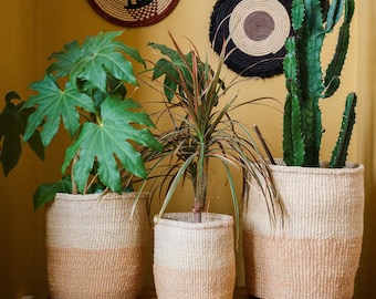 Juego de tres cestas de sisal de Kenia 'Arena y natural'