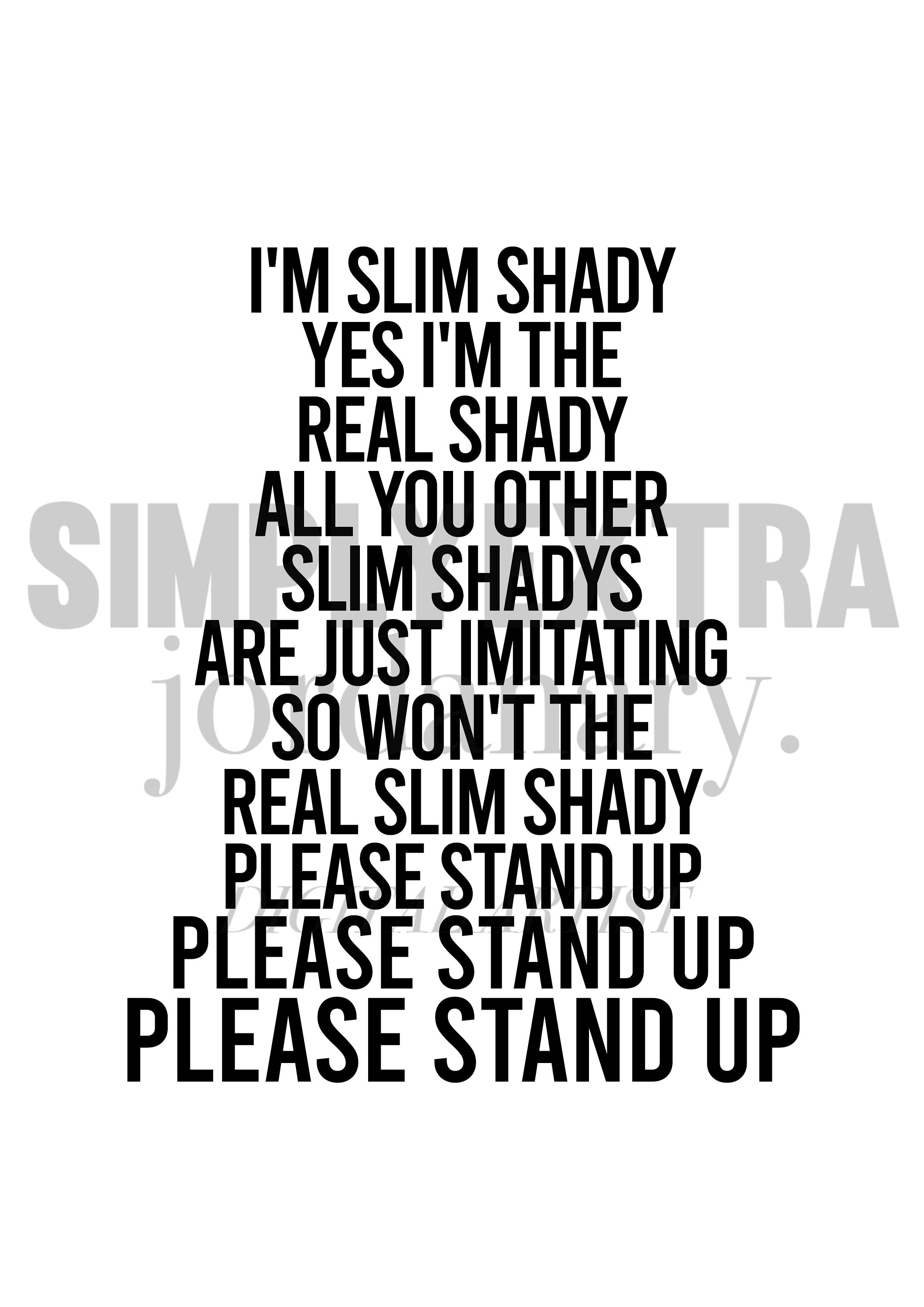  Eminem: The Real Slim Shady (Hip Hop in America