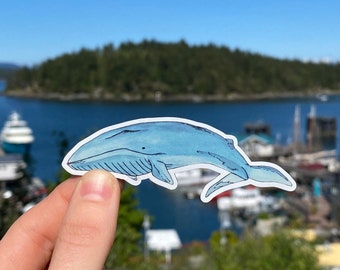 Blue Whale Fridge Magnet | 3.5” x 1.25” | Whale Refrigerator Magnets | Watercolor Marine Magnets | Whale Fridge Magnet | Cute Blue Whale Art