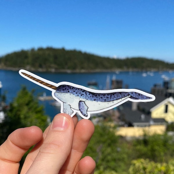 Narwhal Sticker - Etsy