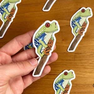 Red Eyed Tree Frog Stickers | 3” x 2” | Frog Art Sticker | Watercolor Frog Animal Stickers | Frog Water Bottle Stickers | Cute Frog Stickers