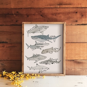 Watercolor Shark Print | 8&quot; x 10&quot; Art Prints | Marine Animal Paintings | Shark Illustration Prints | Gifts for New Parents | Beach Art Decor